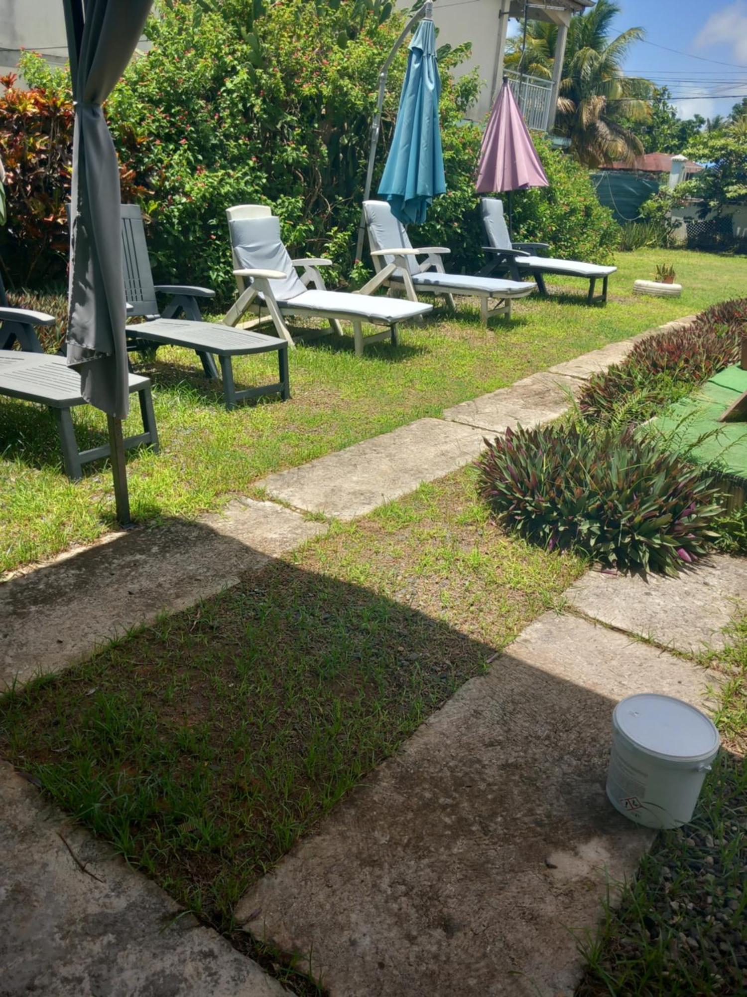 Villa Goyavier プティ・ブール エクステリア 写真